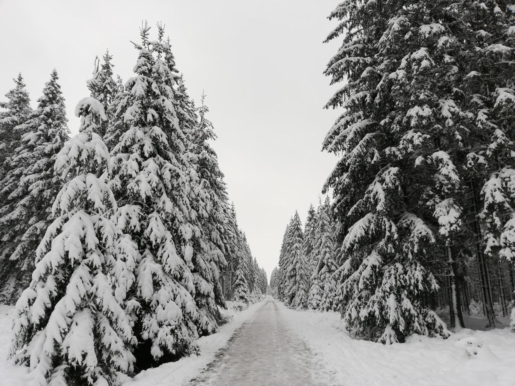 Picture Perfect Holiday Home In Sourbrodt With Garden Bbq エクステリア 写真
