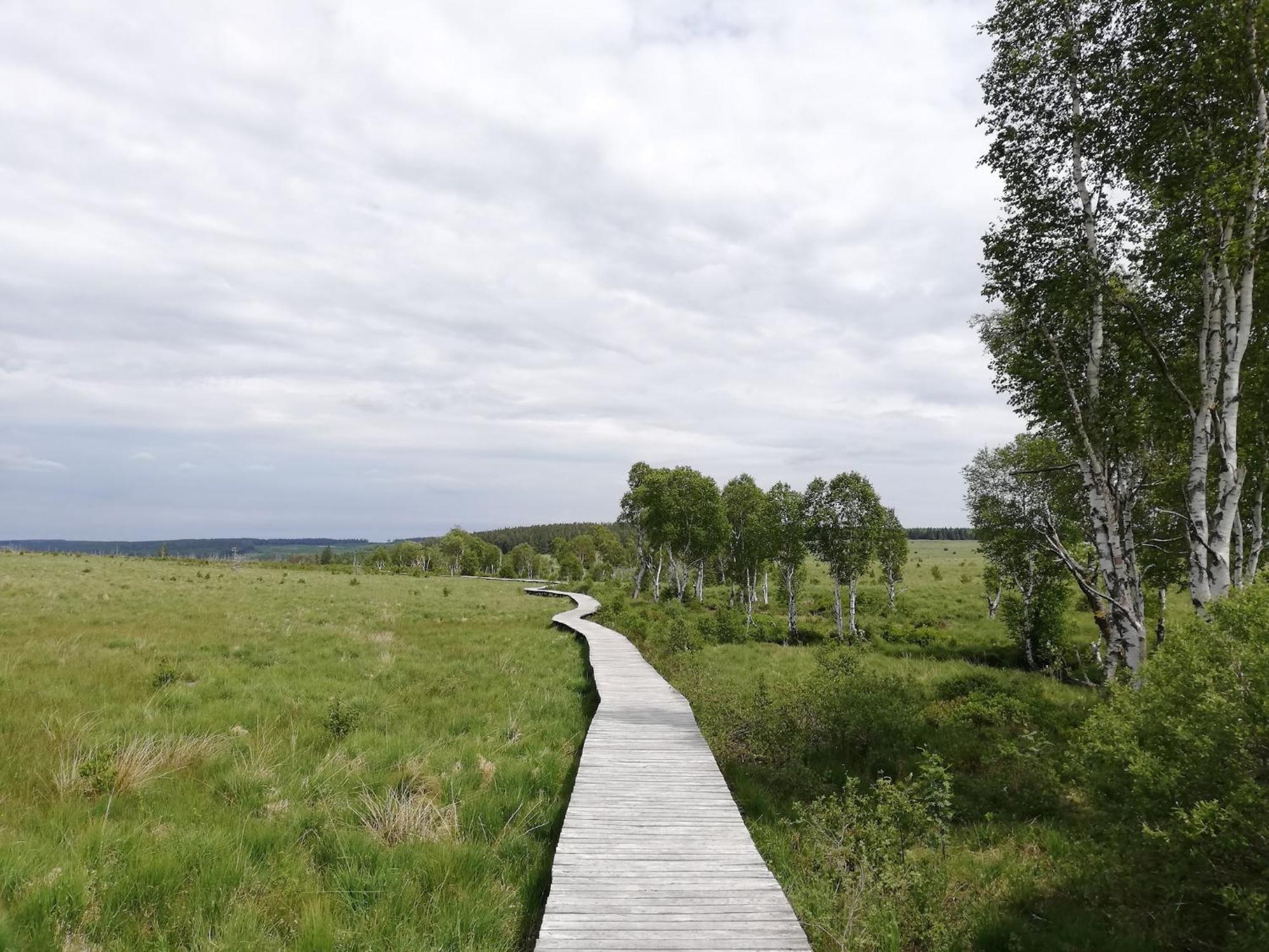 Picture Perfect Holiday Home In Sourbrodt With Garden Bbq エクステリア 写真